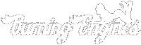 Burning Engines