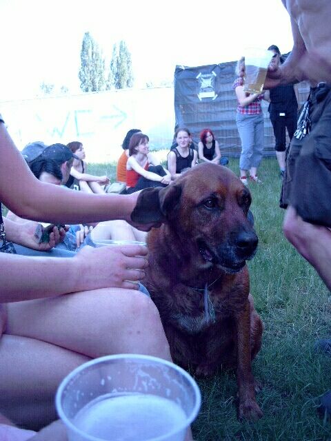 Ali beim 'Aufpassen'